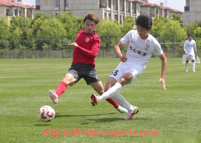 杏彩体育-法甲后防失误统计与比赛结果的关系分析