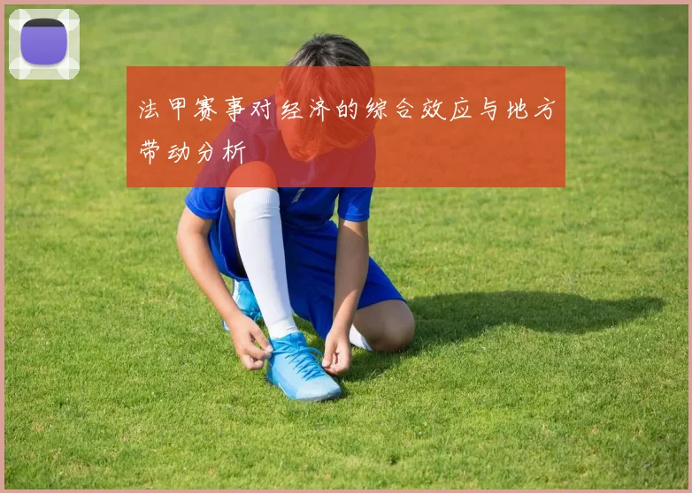 法甲赛事对经济的综合效应与地方带动分析