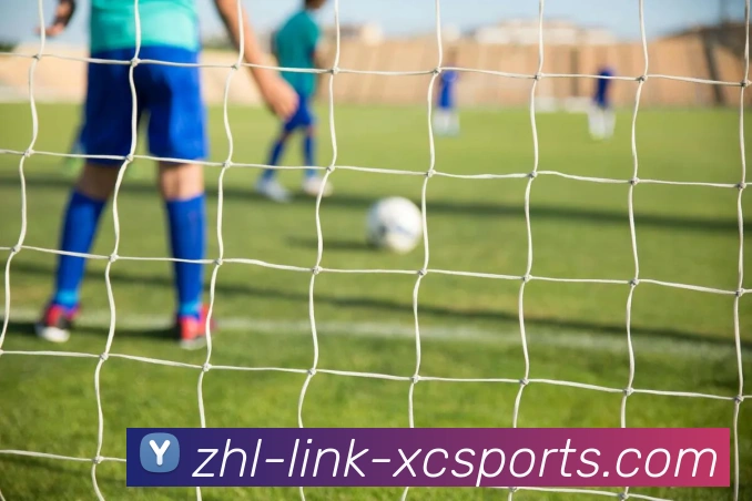 杏彩体育APP 封面图